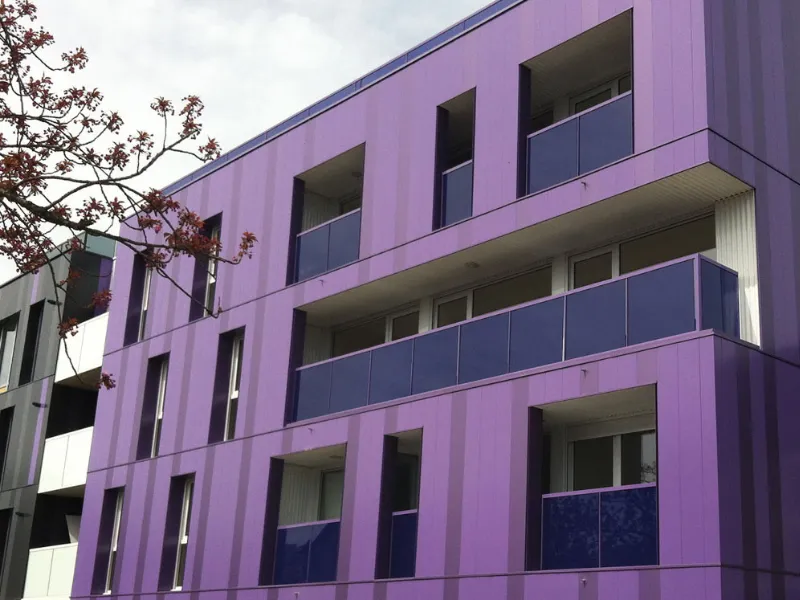 brise soleil vitre